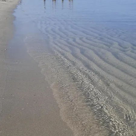 Fronte Mare Con Giardino E Barbeque * אלגהרו