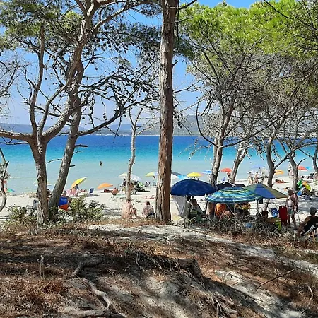 Fronte Mare Con Giardino E Barbeque *