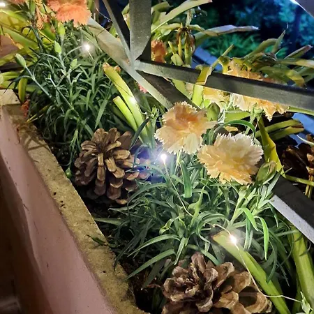 Fronte Mare Con Giardino E Barbeque